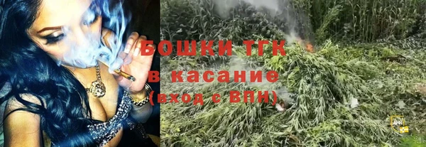 сатива Алексин