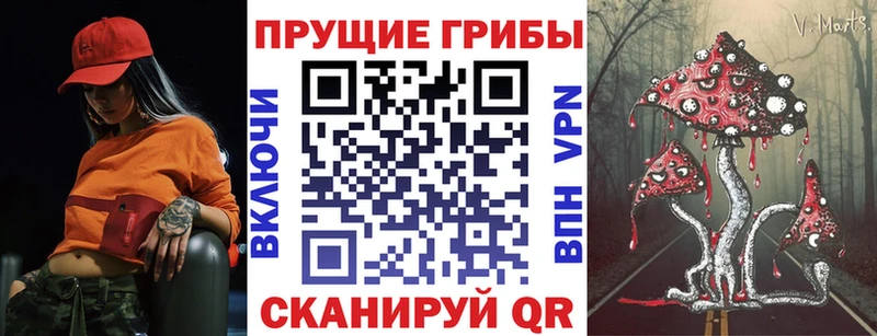 купить  сайты  Волгодонск  Галлюциногенные грибы мицелий 