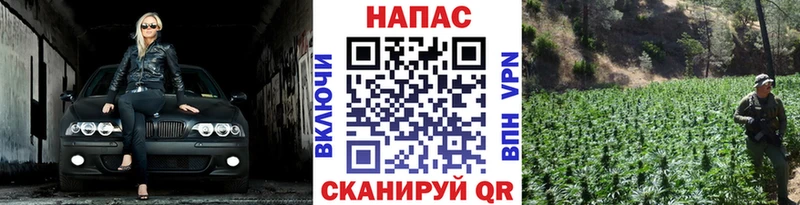 Шишки марихуана Amnesia  кракен ССЫЛКА  Волгодонск 